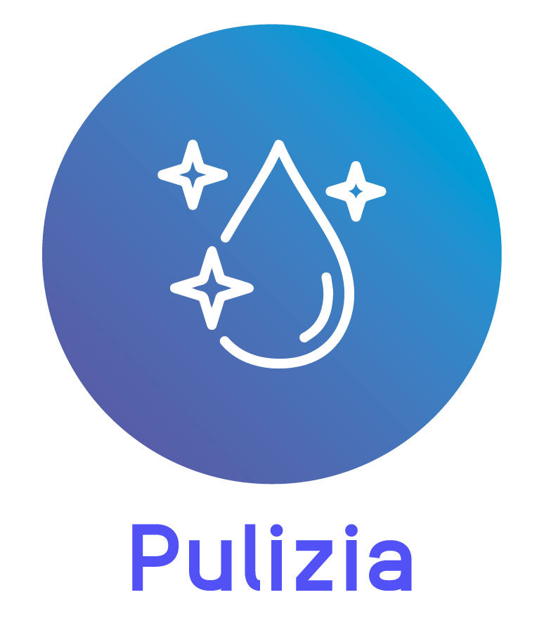 Pulizia della casa