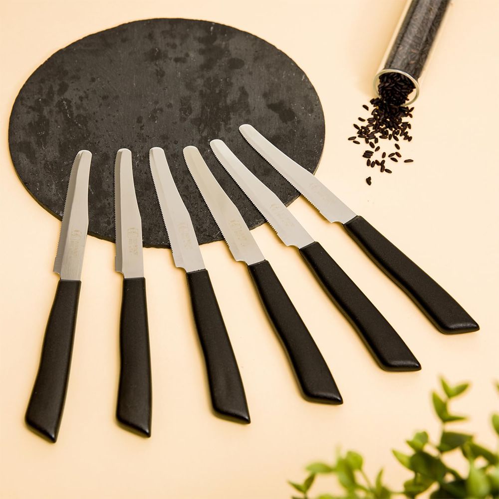 Coltelli da Tavola Manico Colorato - Set da 6