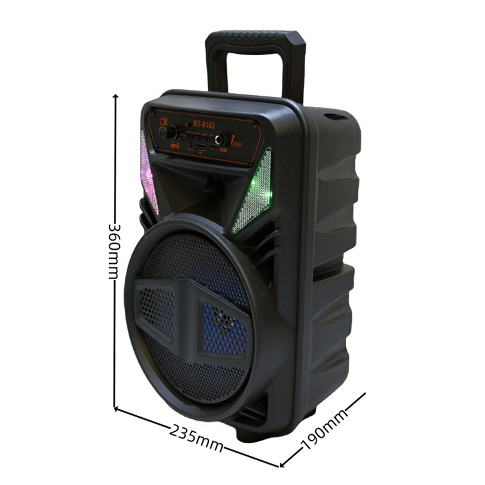 Cassa Bluetooth Portatile Karaoke 15W con Luci RGB