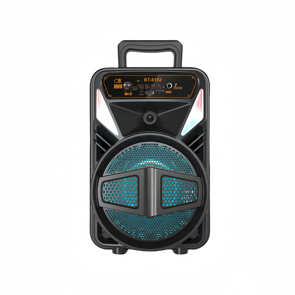 Cassa Bluetooth Portatile Karaoke 15W con Luci RGB