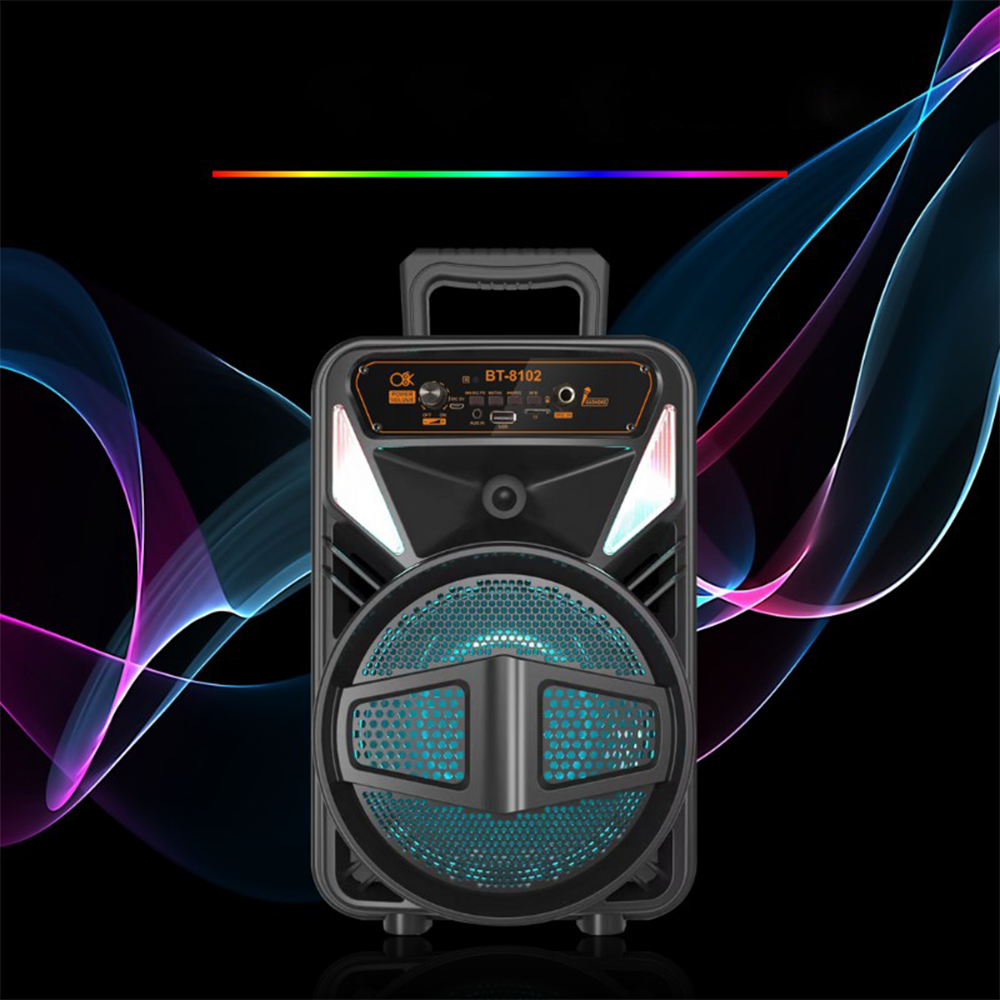 Cassa Bluetooth Portatile Karaoke 15W con Luci RGB