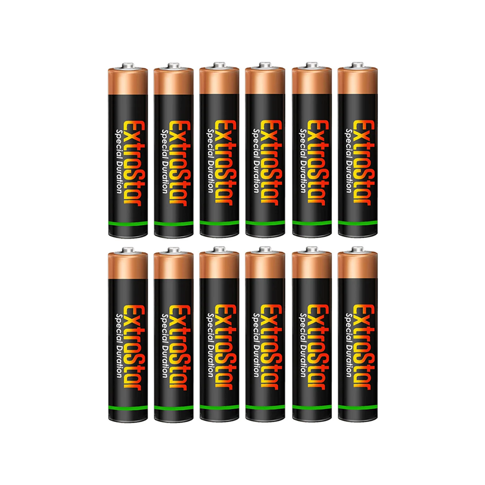 Batterie Stilo AA 1,5V Alcaline Confezione da 12