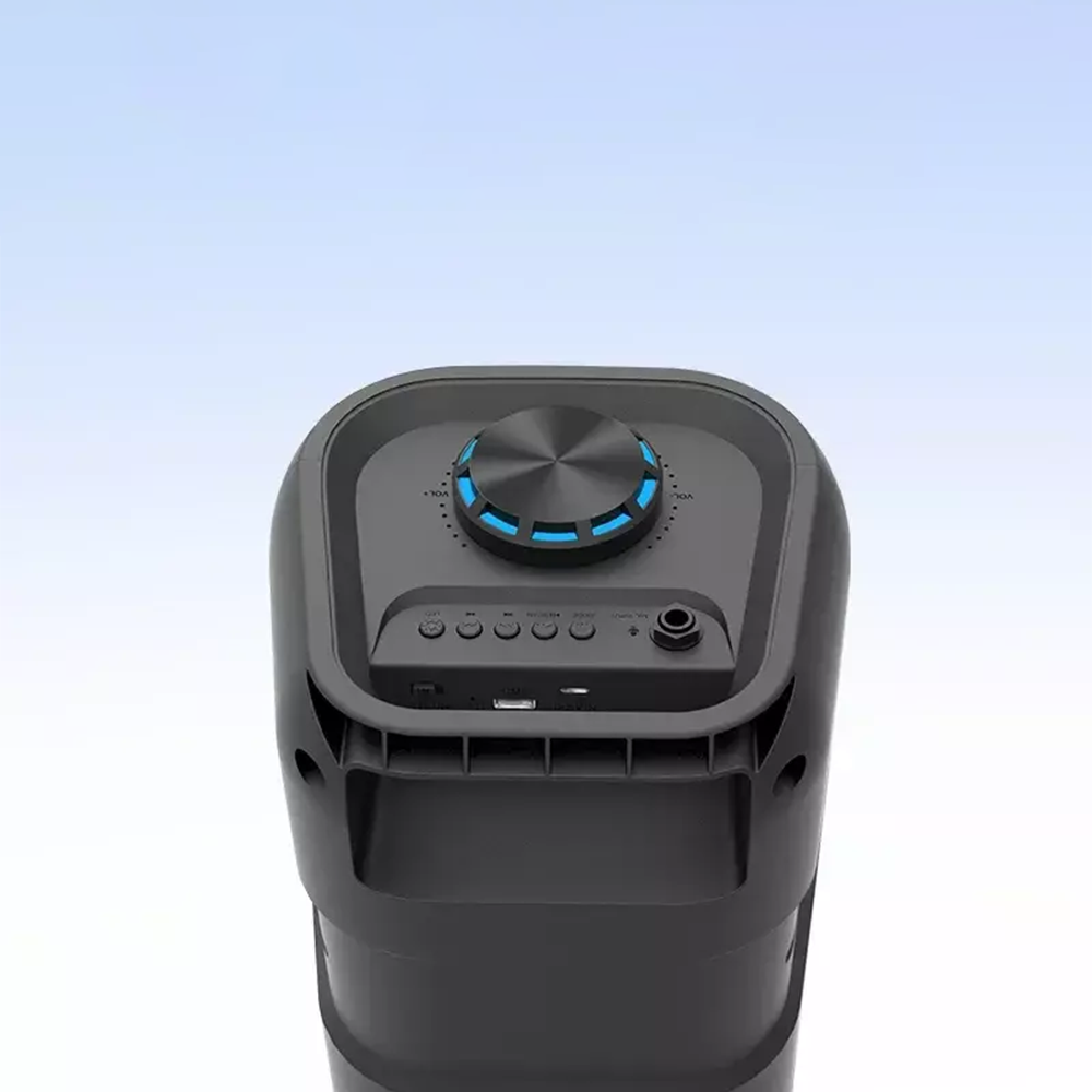 Altoparlante Wireless Portatile 20W con Luci RGB