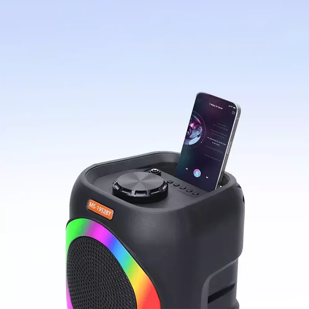 Altoparlante Wireless Portatile 20W con Luci RGB