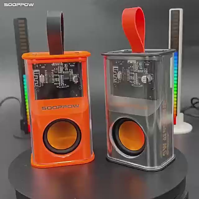 Altoparlante Wireless Bluetooth 5.3 con Bassi Potenti e Luci LED